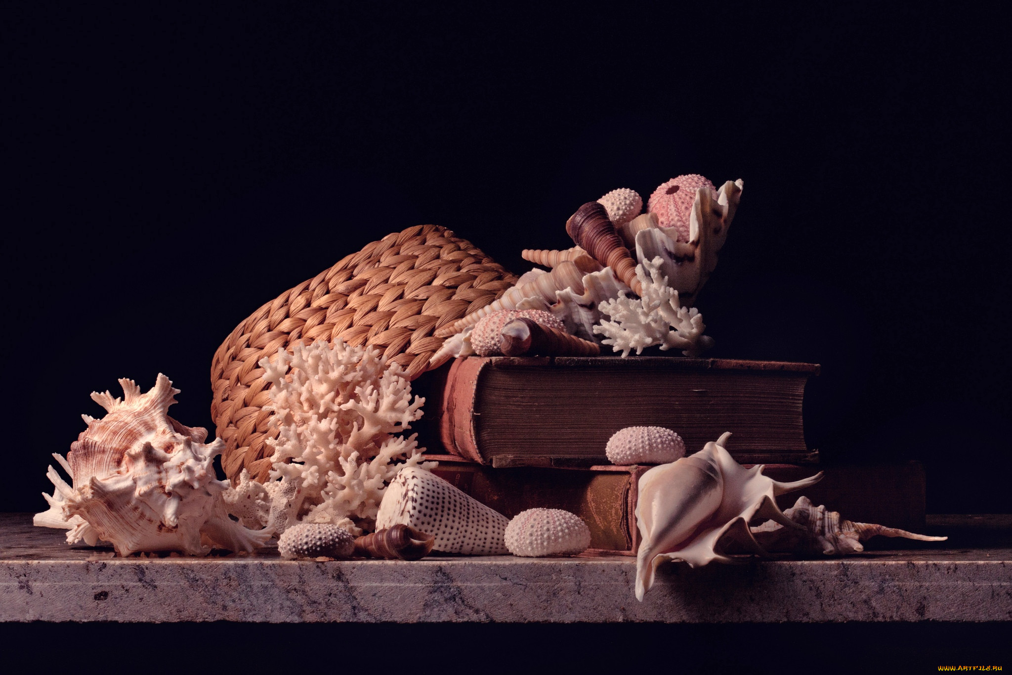 , ,  ,    spa-, corals, shells, hat, , , , books